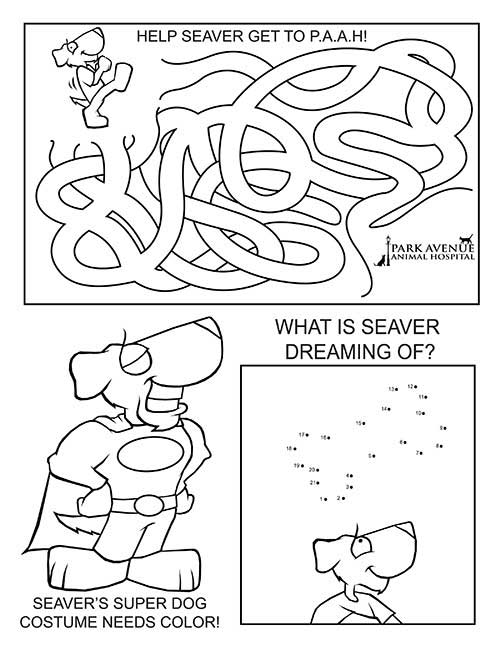 Seaver Activity Sheet