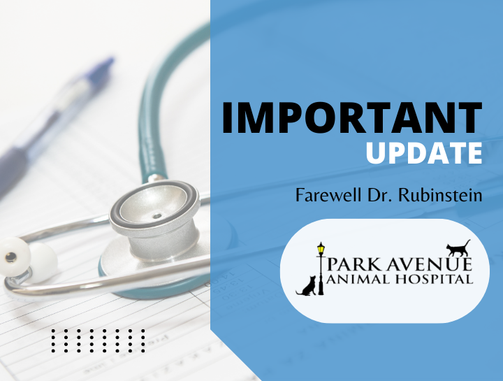 Important Update | Farewell Dr. Rubinstein